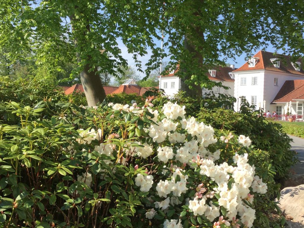 Rungstedgaard Hotel Luaran gambar